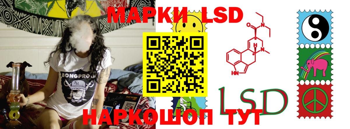 omg маркетплейс  ЛСД экстази  ЛСД экстази ecstasy  Курчалой  Вход с VPN  LSD-25 экстази ecstasy 