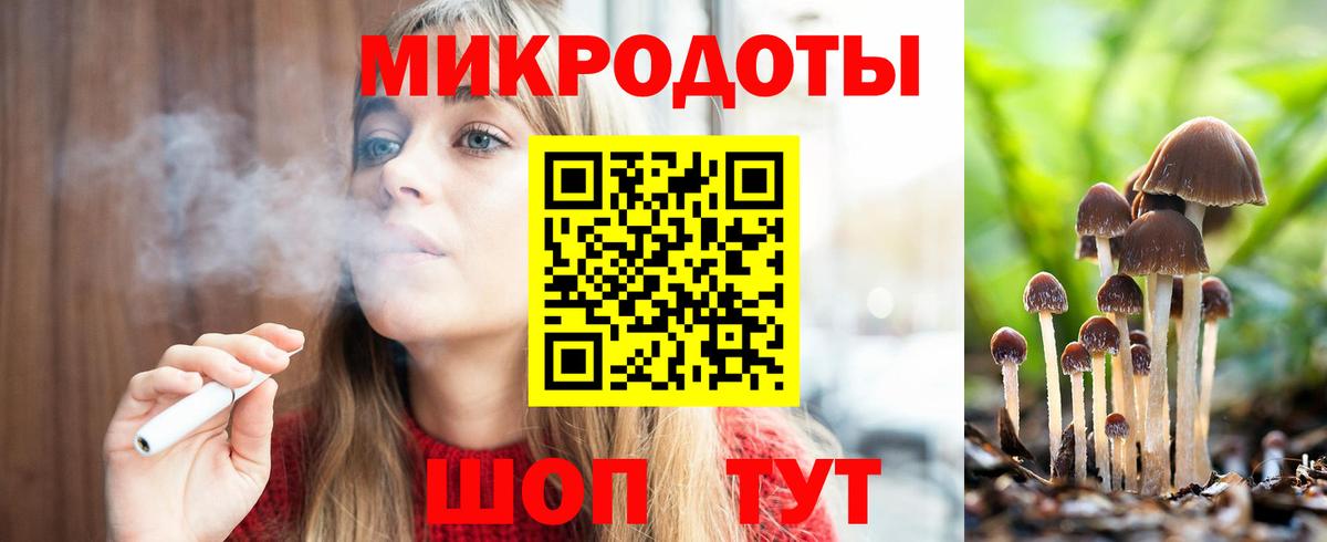 Псилоцибиновые грибы Psilocybe  Вход с VPN  Курчалой 