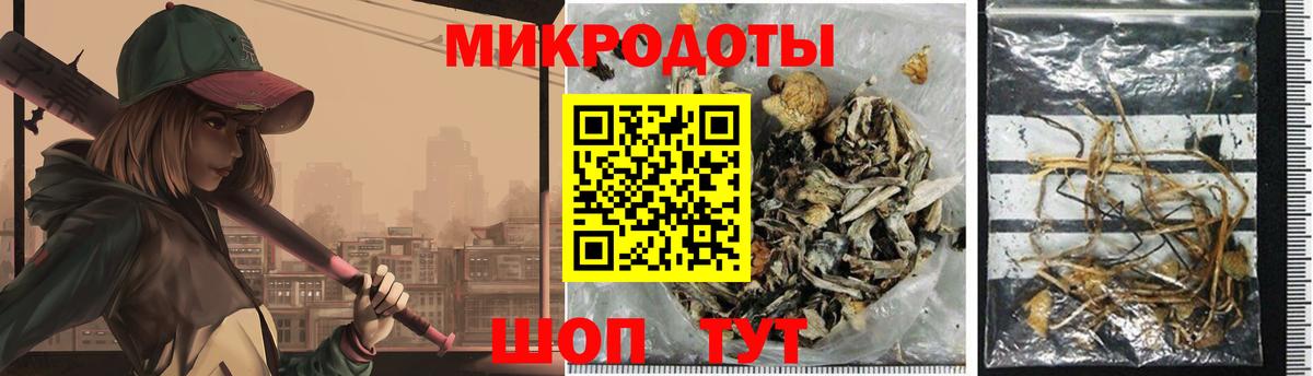 Галлюциногенные грибы мухоморы Курчалой